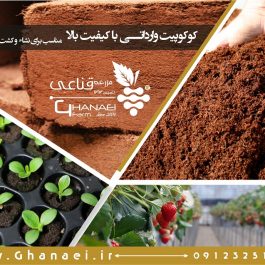 Cocopeatgh cocopeat-ghanaei